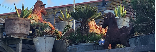 Why Every Square Matters: A Love Letter to Whitstable